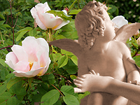 Fotmassage i Rosentr&auml;dg&aring;rd